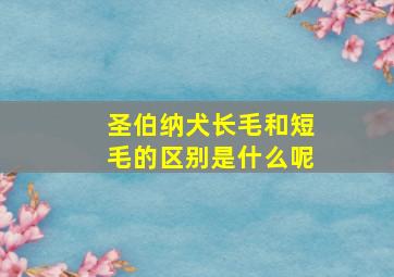 圣伯纳犬长毛和短毛的区别是什么呢