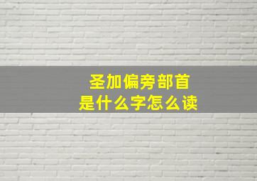 圣加偏旁部首是什么字怎么读