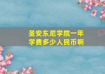 圣安东尼学院一年学费多少人民币啊