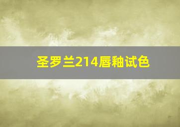 圣罗兰214唇釉试色