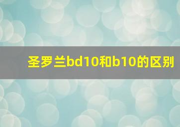 圣罗兰bd10和b10的区别