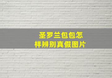 圣罗兰包包怎样辨别真假图片