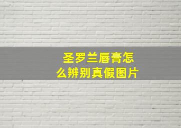 圣罗兰唇膏怎么辨别真假图片