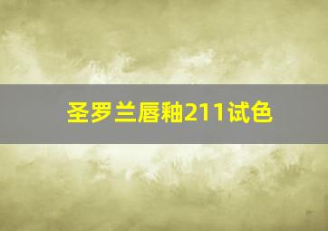 圣罗兰唇釉211试色