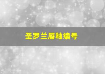 圣罗兰唇釉编号