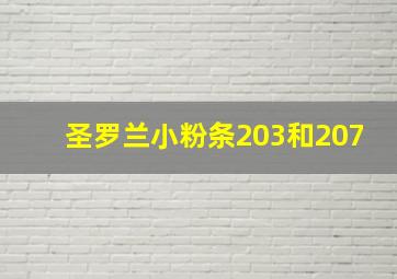 圣罗兰小粉条203和207