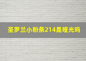 圣罗兰小粉条214是哑光吗