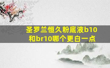 圣罗兰恒久粉底液b10和br10哪个更白一点