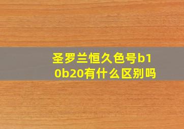 圣罗兰恒久色号b10b20有什么区别吗