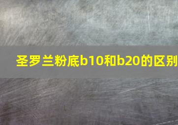 圣罗兰粉底b10和b20的区别