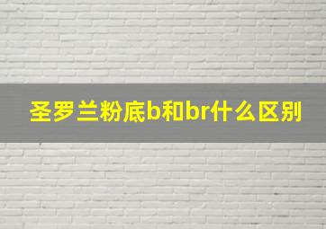 圣罗兰粉底b和br什么区别