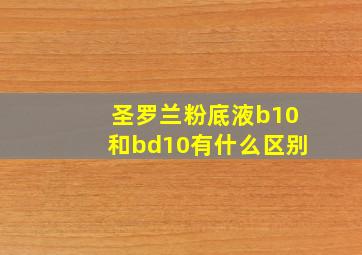 圣罗兰粉底液b10和bd10有什么区别