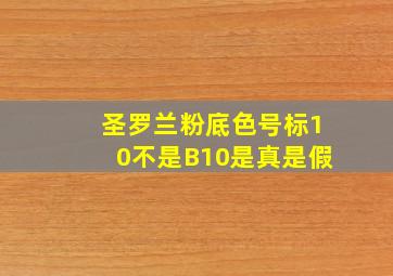 圣罗兰粉底色号标10不是B10是真是假