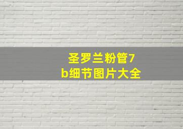 圣罗兰粉管7b细节图片大全