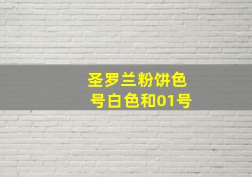 圣罗兰粉饼色号白色和01号