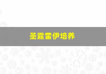 圣霆雷伊培养