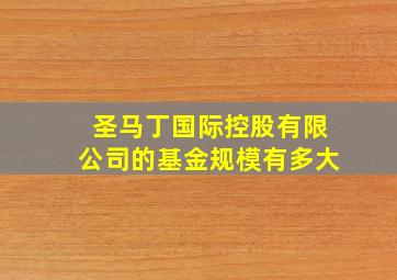 圣马丁国际控股有限公司的基金规模有多大