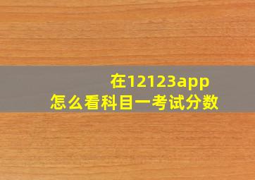 在12123app怎么看科目一考试分数