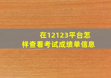 在12123平台怎样查看考试成绩单信息