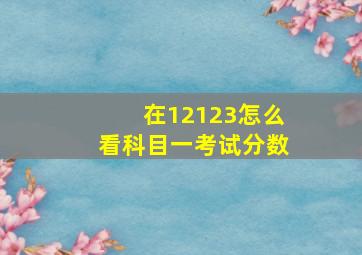 在12123怎么看科目一考试分数