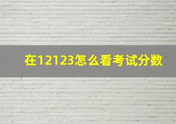 在12123怎么看考试分数