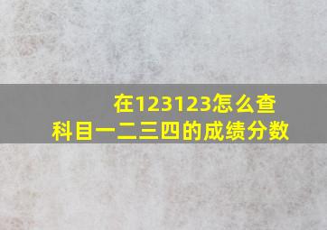 在123123怎么查科目一二三四的成绩分数