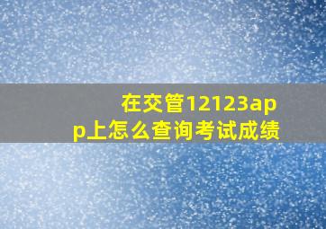 在交管12123app上怎么查询考试成绩