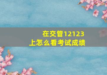 在交管12123上怎么看考试成绩