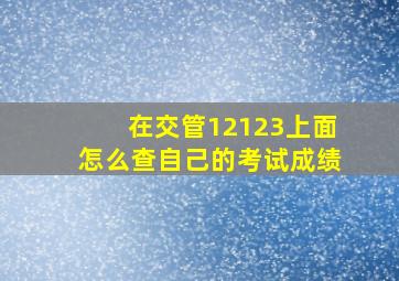 在交管12123上面怎么查自己的考试成绩