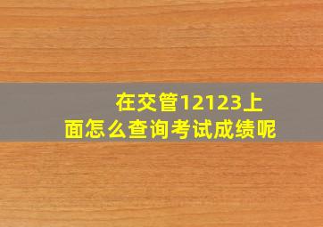 在交管12123上面怎么查询考试成绩呢