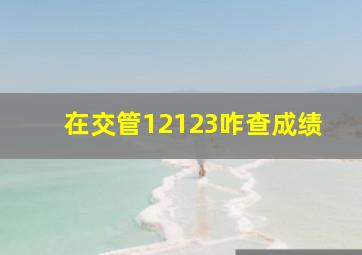 在交管12123咋查成绩