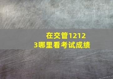 在交管12123哪里看考试成绩