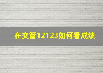 在交管12123如何看成绩