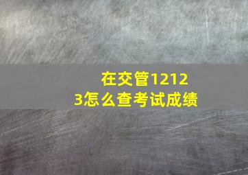 在交管12123怎么查考试成绩