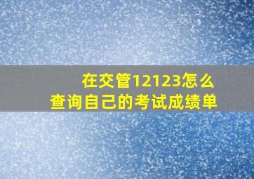 在交管12123怎么查询自己的考试成绩单