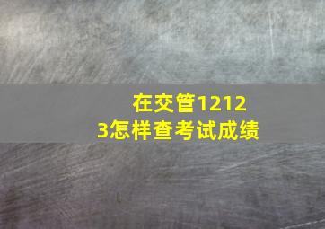 在交管12123怎样查考试成绩