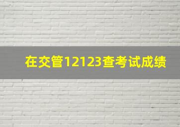 在交管12123查考试成绩