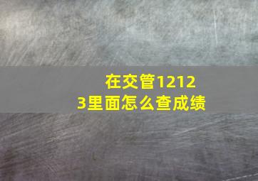 在交管12123里面怎么查成绩