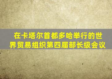 在卡塔尔首都多哈举行的世界贸易组织第四届部长级会议