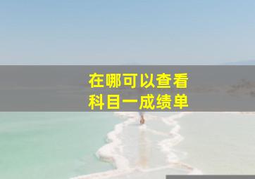 在哪可以查看科目一成绩单