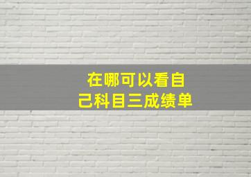 在哪可以看自己科目三成绩单