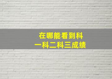 在哪能看到科一科二科三成绩