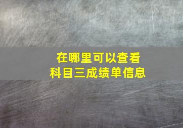 在哪里可以查看科目三成绩单信息