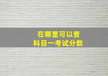 在哪里可以查科目一考试分数