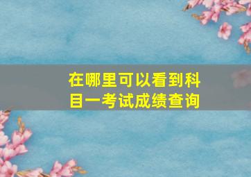 在哪里可以看到科目一考试成绩查询