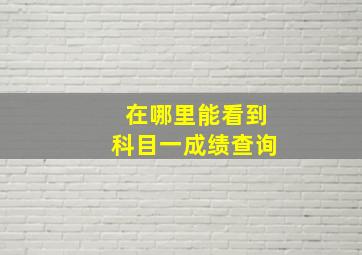 在哪里能看到科目一成绩查询