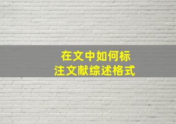 在文中如何标注文献综述格式