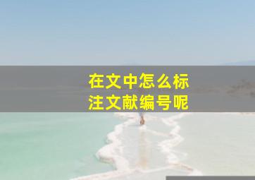 在文中怎么标注文献编号呢