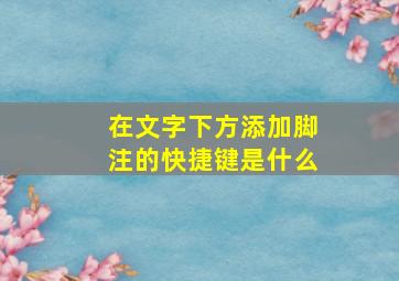 在文字下方添加脚注的快捷键是什么