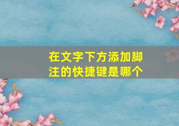 在文字下方添加脚注的快捷键是哪个